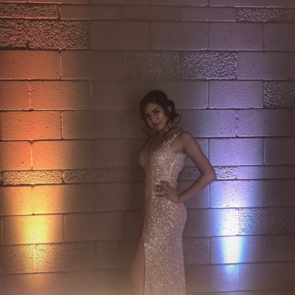 Rose Gold / Blush V-Neck Dress
